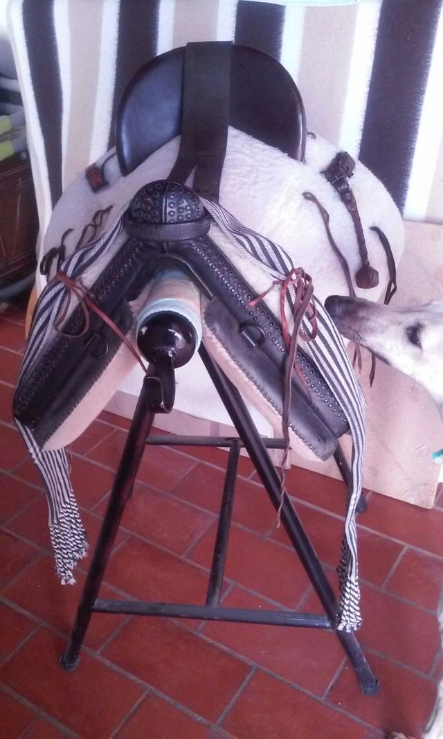 Montura de Caballo