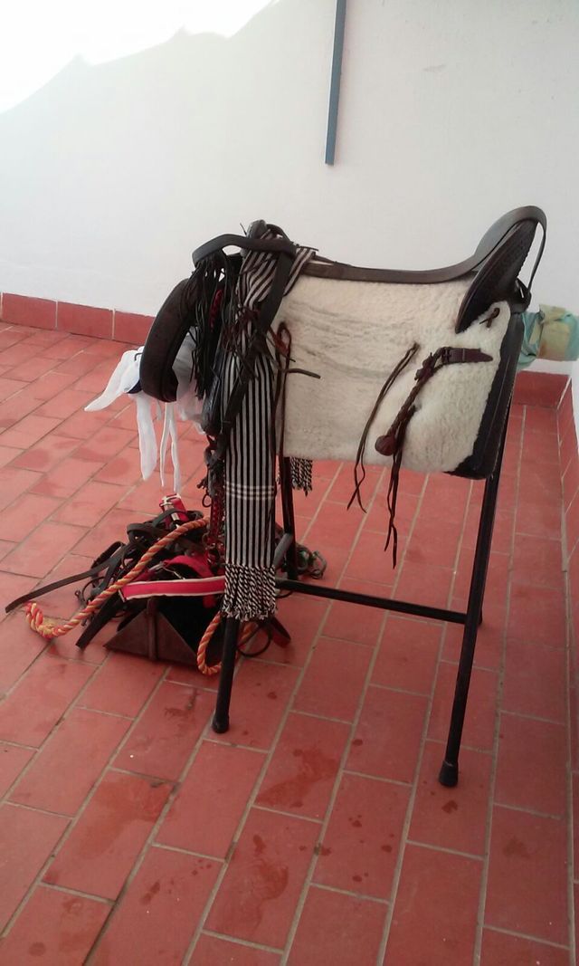Montura de Caballo