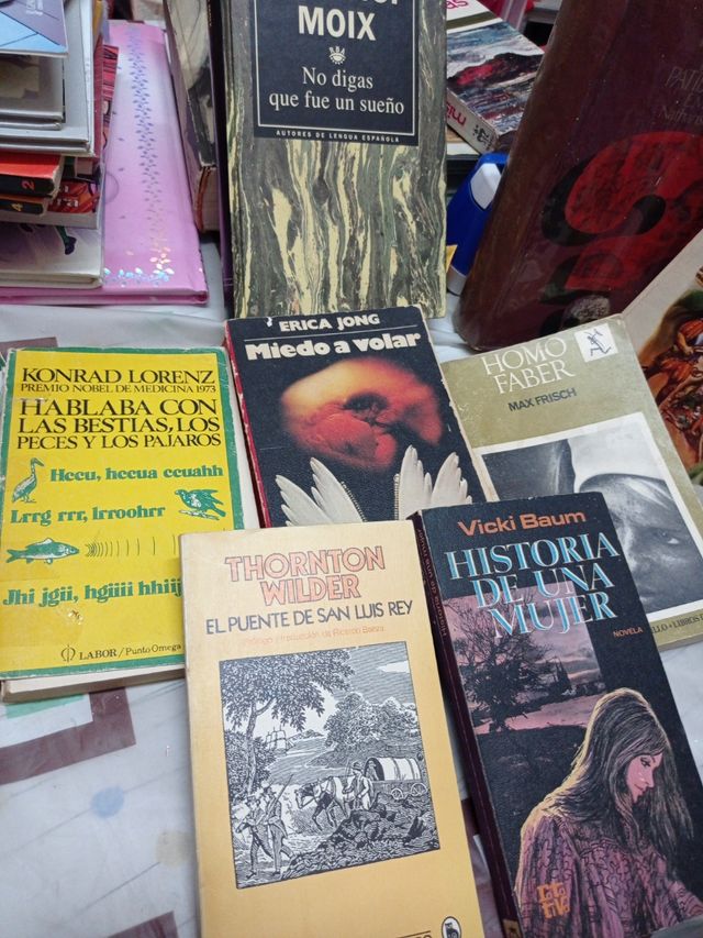 Lote25 libros lectura novelas biograficas