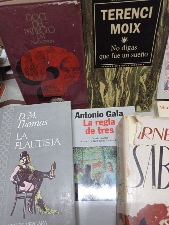 Lote25 libros lectura novelas biograficas