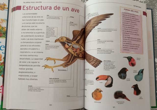 Libro "El aula en casa"