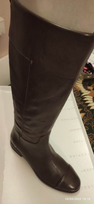 Geox | Lo Más Vendido Ventas | Tienda De Zapatos En Línea Para Mujer |  Gregandgillsplace