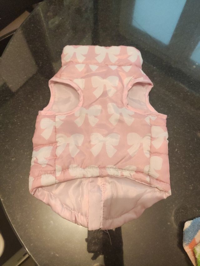 Cazadora perro pequeño.