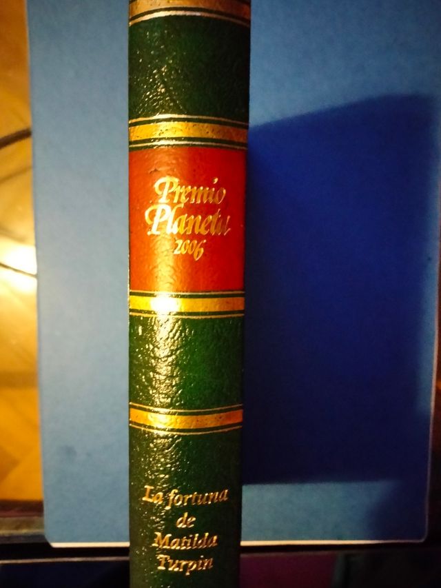 La fortuna de Matilda Turpin