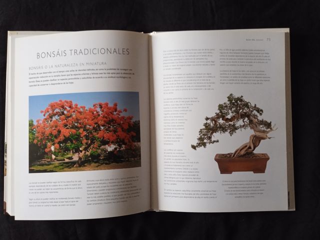Libro"Guía del Bonsai", Ed. Libsa. Como Nuevo