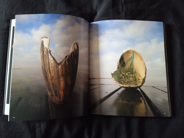 Libro "Joan Panisello, Obra 1975-2006", Perfecto
