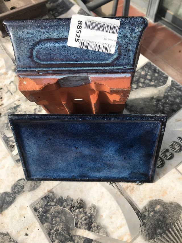 Vaso bonsai con vassoio