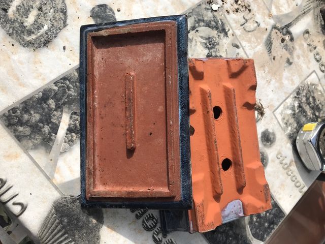 Vaso bonsai con vassoio