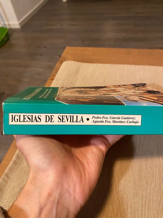 Libro Iglesias de Sevilla editorial avapies 1994