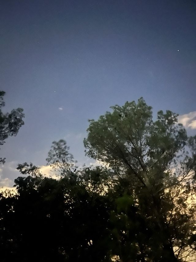 Salud Natural y Naturopatía 🍋