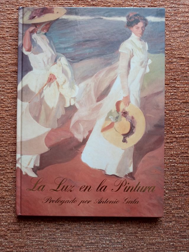 LIBRO LA LUZ EN LA PINTURA