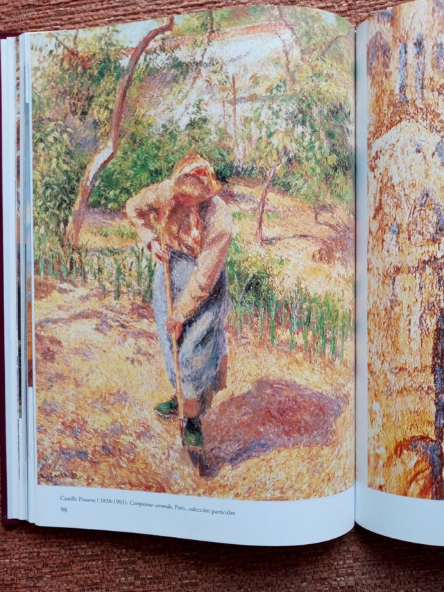 LIBRO LA LUZ EN LA PINTURA