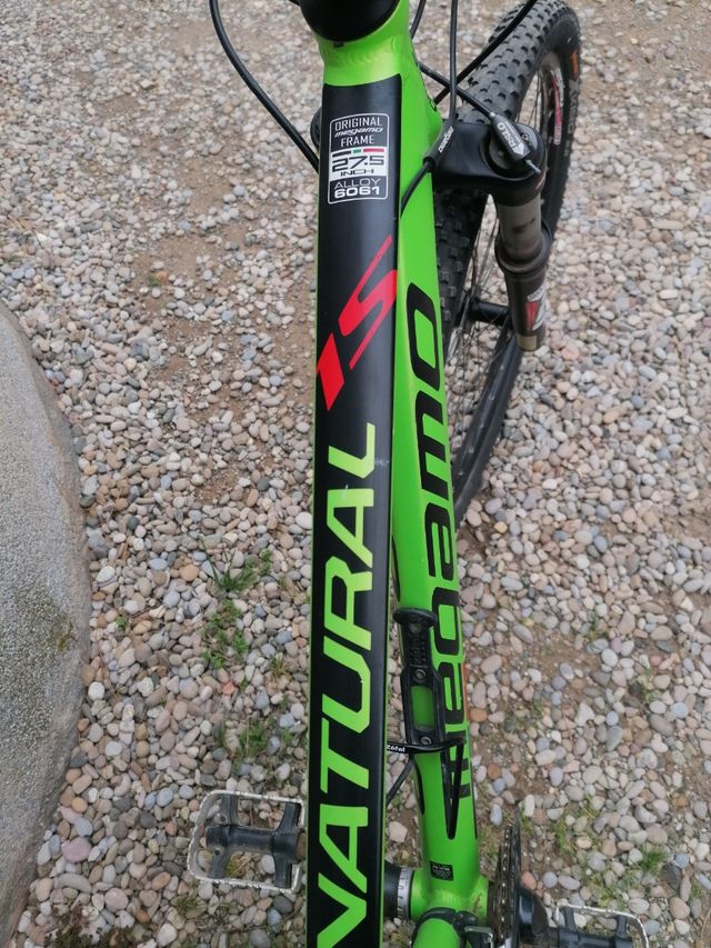 megamo natural 15 team rc