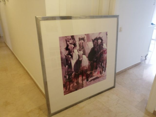 cuadro caballos lámina