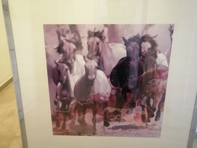 cuadro caballos lámina