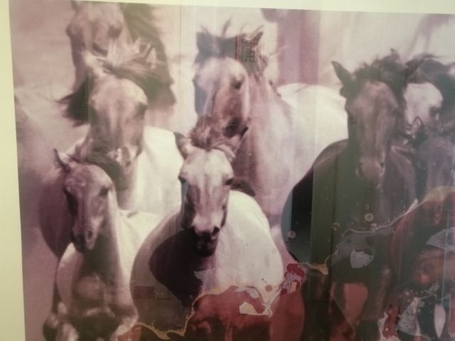 cuadro caballos lámina