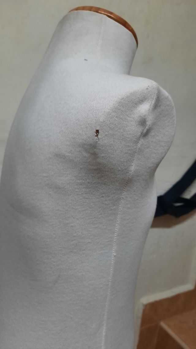 Maniquie para niños, chico, moda infantil