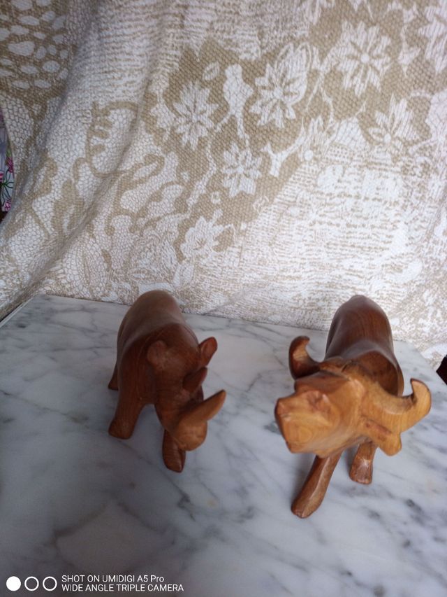 bisonte y rinoceronte