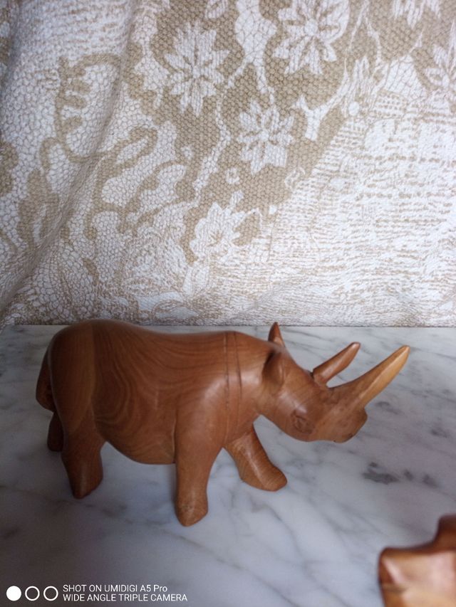 bisonte y rinoceronte