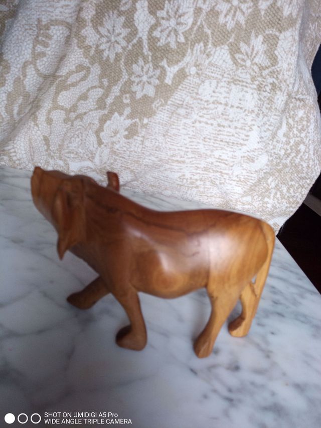 bisonte y rinoceronte