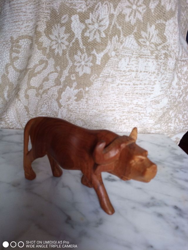 bisonte y rinoceronte