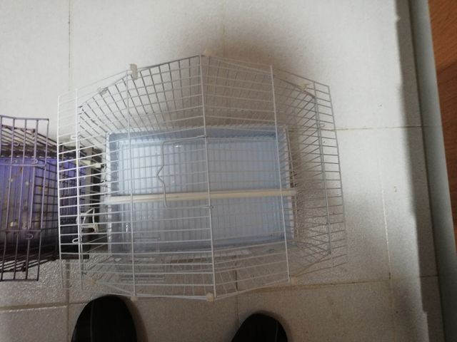 2 jaulas en perfectas condiciones
