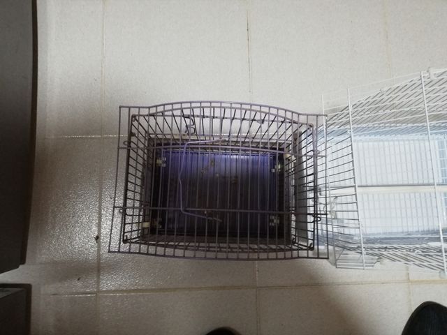2 jaulas en perfectas condiciones