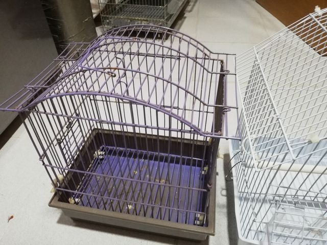 2 jaulas en perfectas condiciones