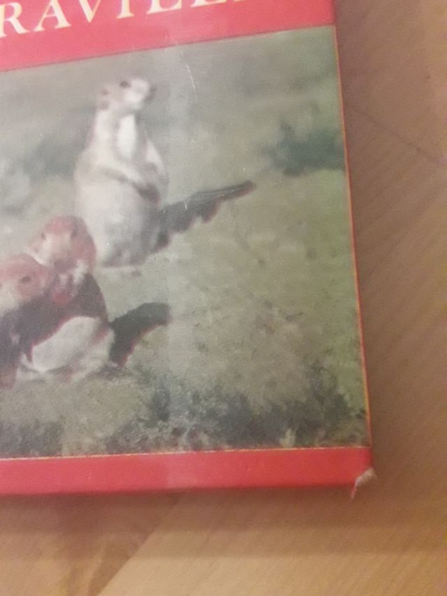 Walt Disney  Naturaleza y Maravillas