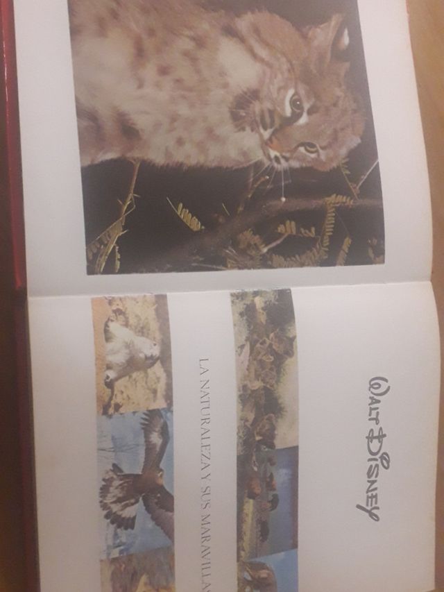 Walt Disney  Naturaleza y Maravillas