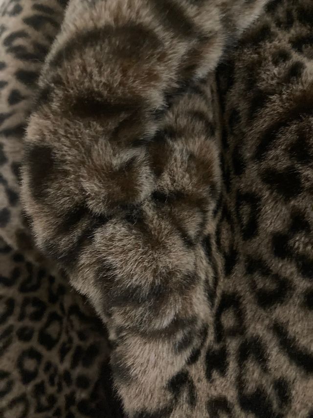 Torera (animal print ) de Top Shop London