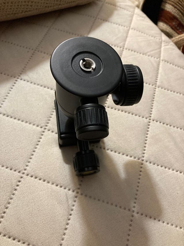 Rótula zeadio nueva