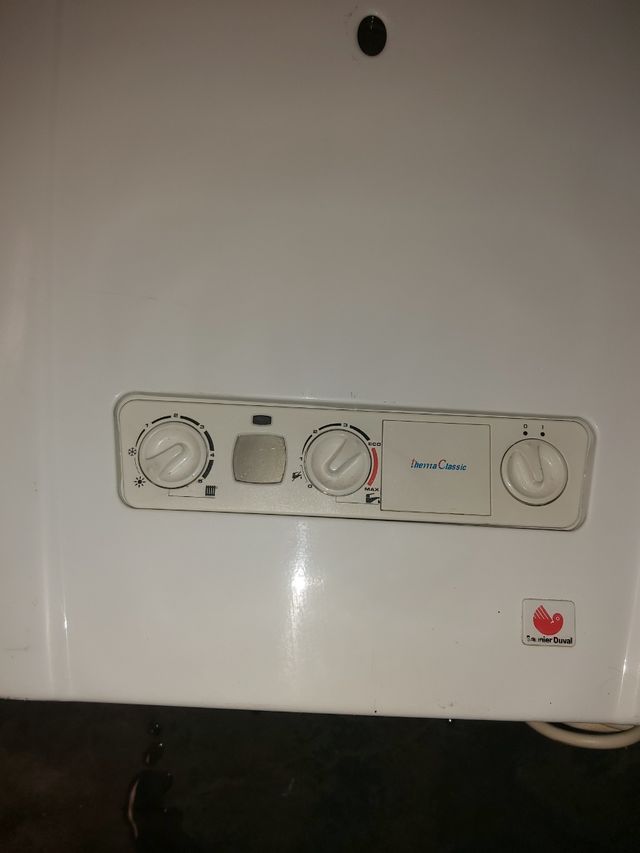 Caldera gas Saunier duval themaclassic f24 propano