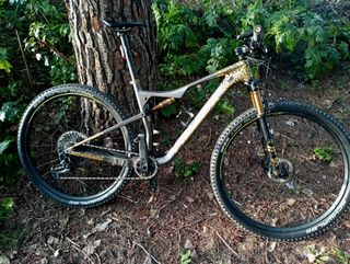 pegatinas para decorar tu bicicleta para orbea oiz