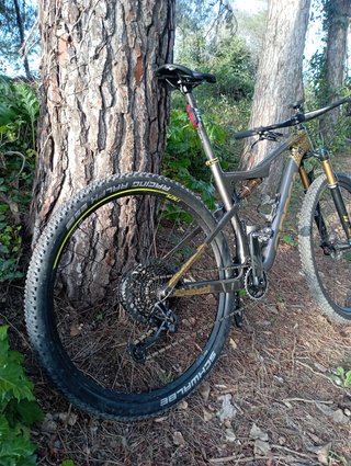 pegatinas para decorar tu bicicleta para orbea oiz