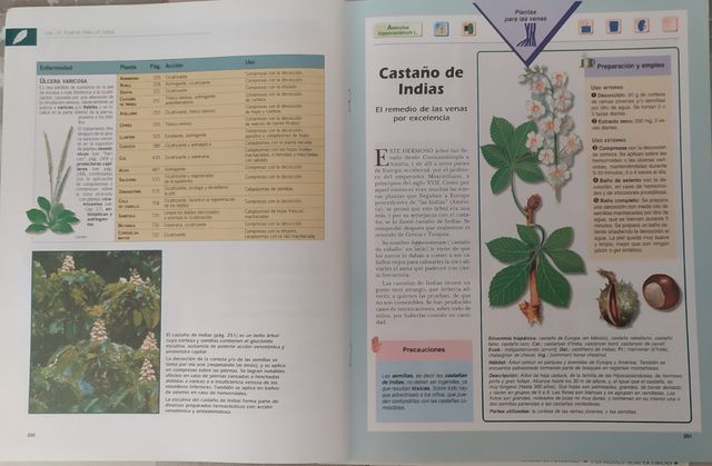 fascículos de plantas y alimentos que curan