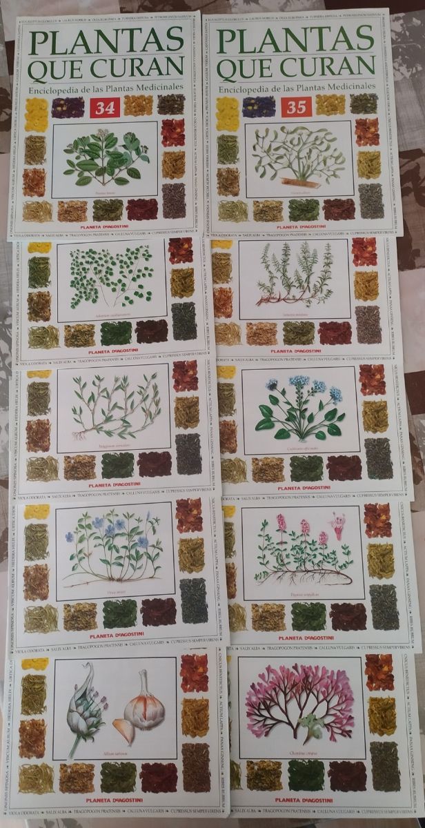 fascículos de plantas y alimentos que curan