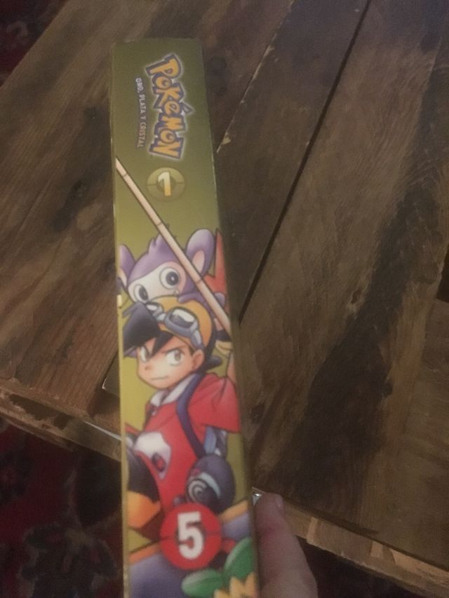 Pokemon Oro, plata y Cristal 1 (5)