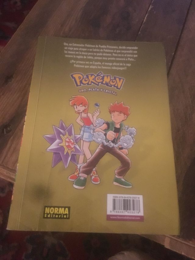Pokemon Oro, plata y Cristal 1 (5)