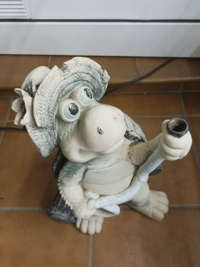 Tartaruga irrigata da 50 cm