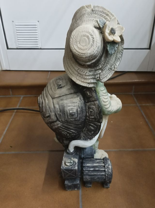 Tartaruga irrigata da 50 cm