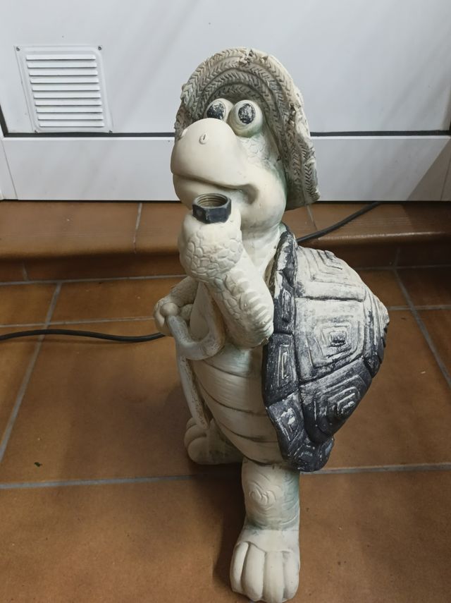 Tartaruga irrigata da 50 cm