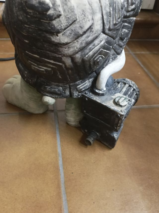 Tartaruga irrigata da 50 cm