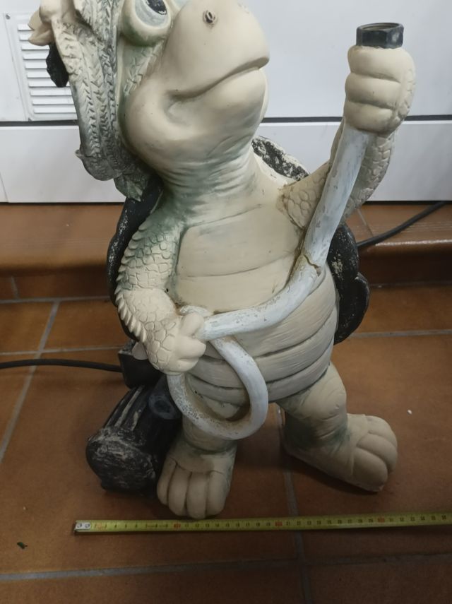 Tartaruga irrigata da 50 cm