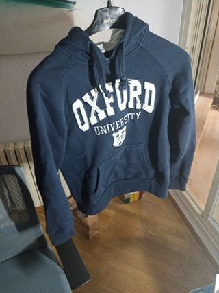 Sudadera Oxford Hoodie | Cuidado con el Perro