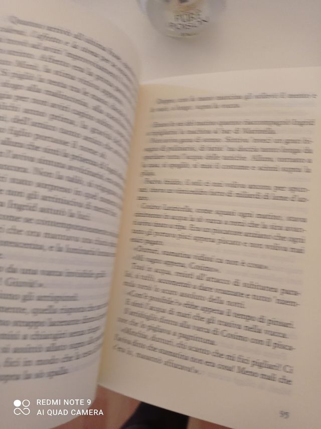 libro di Camilleri