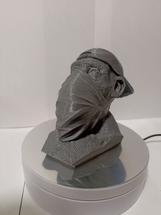 Busto monkey colección pieza única