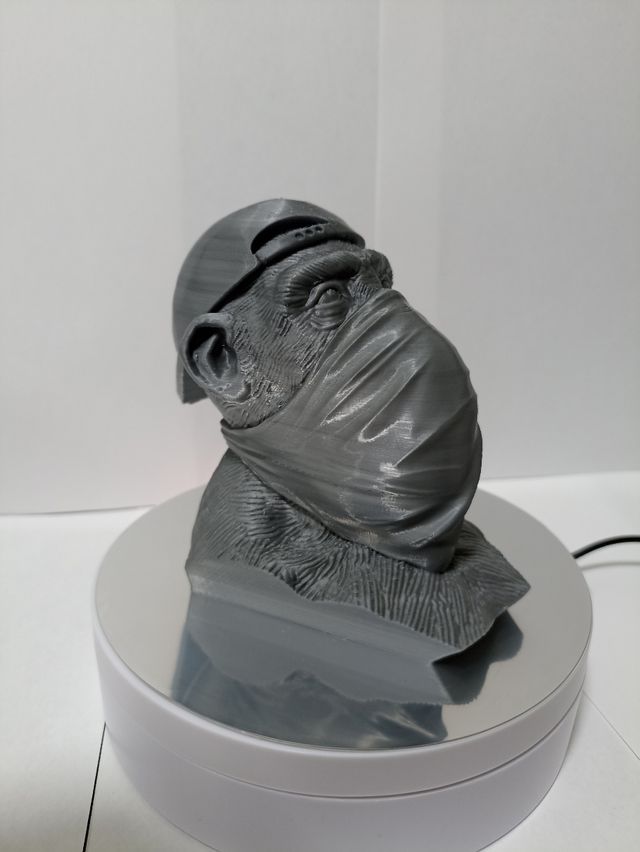 Busto monkey colección pieza única