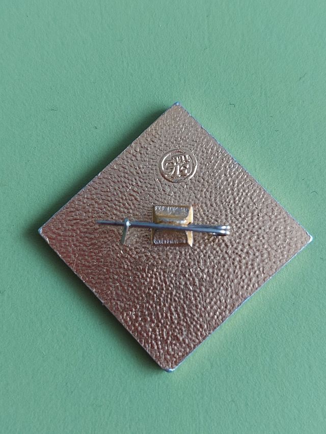 Insignia MIG 23 Ruso.