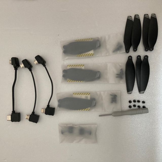 Combo DJI Mavic Mini SENZA DRONE O BATTERIE